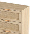 43.316-Drawers Rattan Storage Cabinet Rattan Drawer,for Bedroom,Living Room,Black